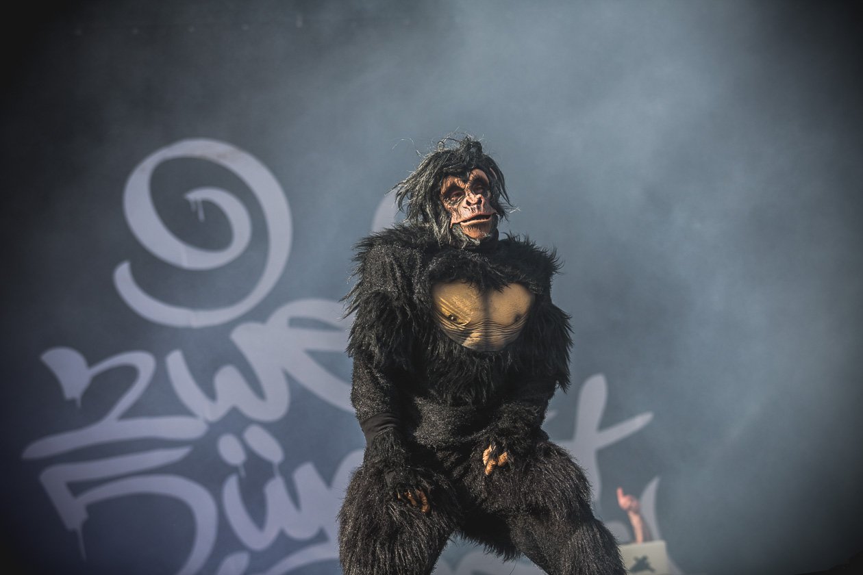 257ers sorgten für eine der dicksten Festivalparties 2019. – 257ers.