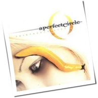 A Perfect Circle - Thirteenth Step
