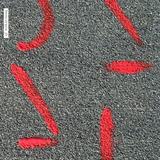 AGF - Words Are Missing Artwork