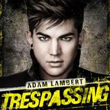 Adam Lambert - Trespassing Artwork