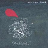 Alin Coen Band - Wer Bist Du? Artwork