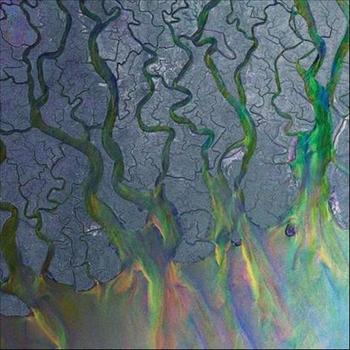 Alt-J - An Awesome Wave Artwork