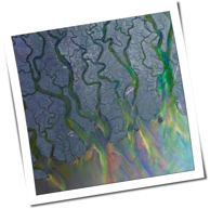 Alt-J - An Awesome Wave