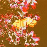 Âme - Âme Artwork