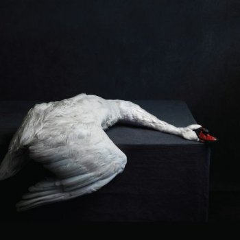 Amenra - Mass VI Artwork