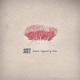 Amit Erez - Summer Conquered By Rain Artwork
