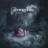 Amorphis - Silent Waters Artwork
