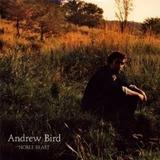Andrew Bird - Noble Beast Artwork