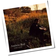 Andrew Bird - Noble Beast