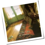 Ani DiFranco - Educated Guess
