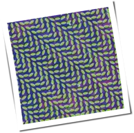 Animal Collective - Merriweather Post Pavilion