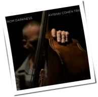 Avishai Cohen Trio - From Darkness