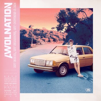 Awolnation - My Echo, My Shadow, My Covers, and Me Artwork