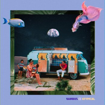 Bambus - Atypical