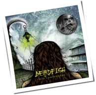 Beardfish - +4626-COMFORTZONE