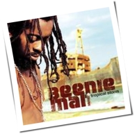 Beenie Man - Tropical Storm