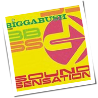 Bigga Bush - Sound Sensation