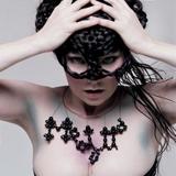 Björk - Medulla Artwork