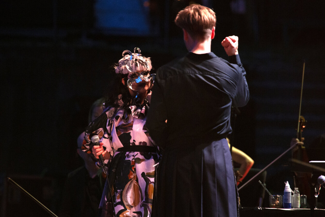 Björk – Björk und Bjarni.