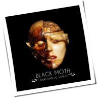 Black Moth - Anatomical Venus