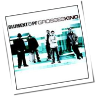 Blumentopf - Grosses Kino