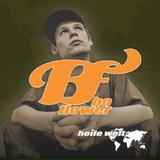 Bo Flower - Heile Welt Artwork