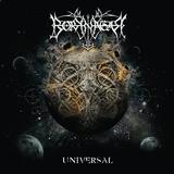 Borknagar - Universum Artwork