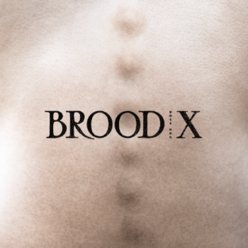 Boss Hog - Brood X