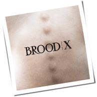 Boss Hog - Brood X