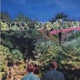 Box Codax - Only An Orchard Away Artwork