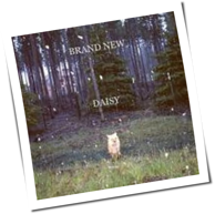 Brand New - Daisy