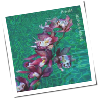 Bruce Hornsby + yMusic - Deep Sea Vents
