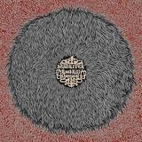 Busdriver - Roadkill Overcoat Artwork