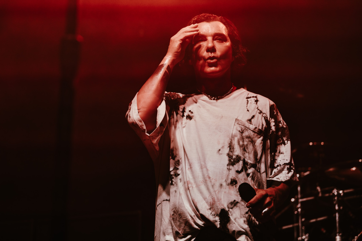 Bush – Bush.