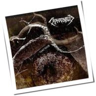 Capharnaum - Fractured