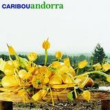 Caribou - Andorra Artwork