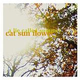 Cat Sun Flower - A Lie Called Summer