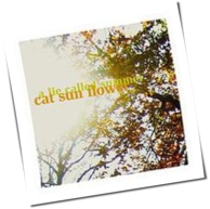 Cat Sun Flower - A Lie Called Summer