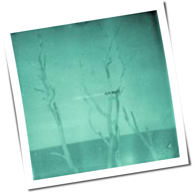 Christian Löffler - A Forest