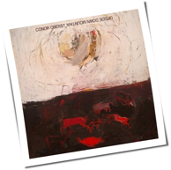 Conor Oberst - Upside Down Mountain