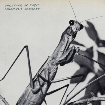 Courtney Barnett - Creature of Habit