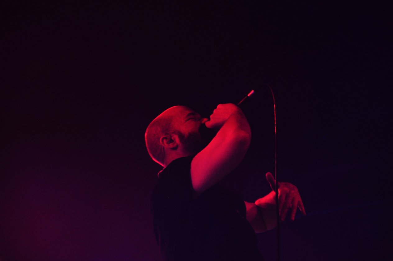 Disarstar – 