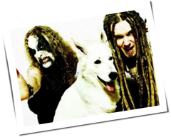 Daniel Lioneye