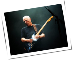 David Gilmour