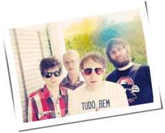 Deer Tick