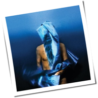 Devendra Banhart - Flying Wig