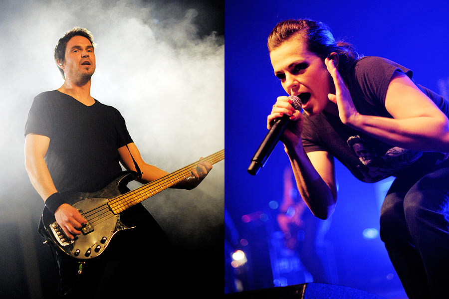 Donots – 