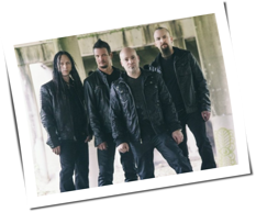 Disturbed