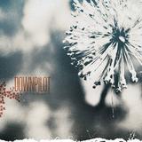 Downpilot - Like You Believe It Artwork