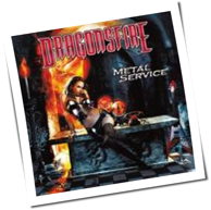 Dragonsfire - Metal Service